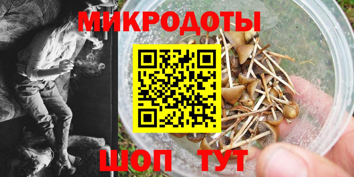 Галлюциногенные грибы Magic Shrooms Северск