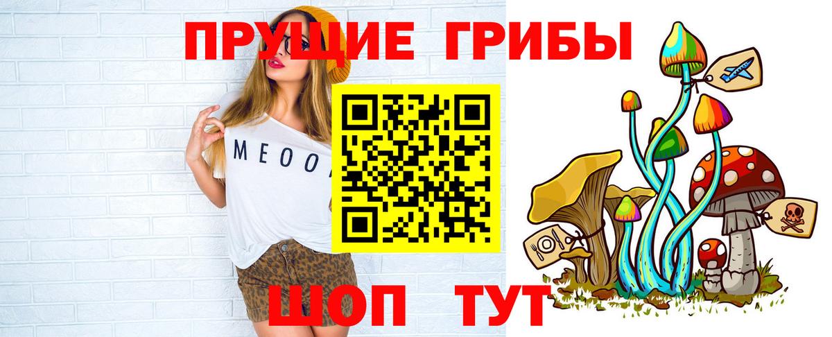 Галлюциногенные грибы мухоморы  Вход с VPN  Северск  Галлюциногенные грибы мицелий 